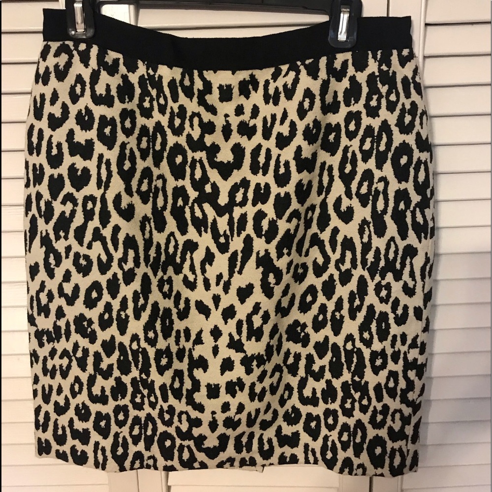 Cute Ann Taylor Skirt